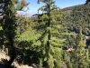 Mt.-Baden-Powell-5x-0018