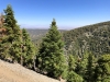 Mt.-Baden-Powell-5x-0019