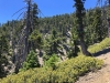 Mt.-Baden-Powell-5x-0026