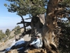 mt-baden-powell-036