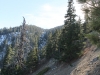 mt-baden-powell-098