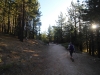 Mt-Pinos-Sawmill-Mtn-4x-0001