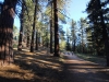 Mt-Pinos-Sawmill-Mtn-4x-0002