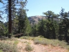 Mt-Pinos-Sawmill-Mtn-4x-0043