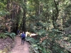 Muir Woods 0025