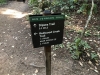 Muir Woods 0037