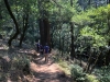 Muir Woods 0041