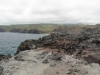 nakalele-blowhole-030