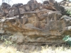 olawalu-petroglyphs-013