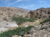 Palm Canyon 008.JPG