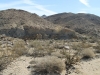 Palm Canyon 010.JPG