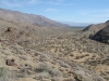 Palm Canyon 012.JPG