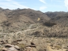 Palm Canyon 013.JPG