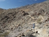 Palm Canyon 017.JPG