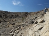 Palm Canyon 019.JPG