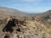 Palm Canyon 026.JPG