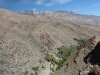 Palm Canyon 027.JPG