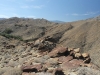 Palm Canyon 029.JPG