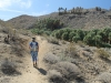 Palm Canyon 031.JPG