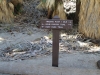 Palm Canyon 033.JPG