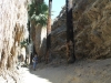 Palm Canyon 038.JPG