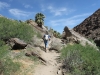 Palm Canyon 043.JPG