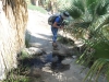 Palm Canyon 044.JPG