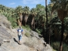 Palm Canyon 046.JPG