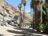 Palm Canyon 057.JPG