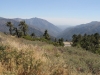 PCT to Grassy Hollow 028