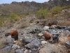 Piestewa Peak 0045