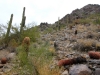 Piestewa Peak 0054