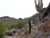 Piestewa Peak 0062