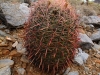 Piestewa Peak 0083