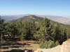 reyes-peak-haddock-mtn-022