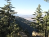 reyes-peak-haddock-mtn-102