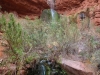 Ribbon Falls 0075