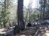 San Jacinto Peak 020.JPG