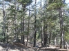 San Jacinto Peak 023.JPG