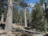 San Jacinto Peak 034.JPG