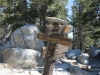 San Jacinto Peak 044.JPG