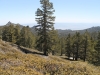 San Jacinto Peak 046.JPG