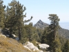 San Jacinto Peak 051.JPG