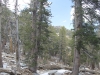 San Jacinto Peak 124.JPG