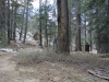 San Jacinto Peak 126.JPG