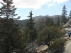 San Jacinto Peak 140.JPG