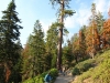 Sentinel Dome - Glacier Point 006