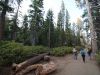 Sentinel Dome - Glacier Point 010