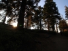 Sentinel Dome - Glacier Point 011