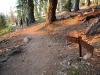 Sentinel Dome - Glacier Point 034